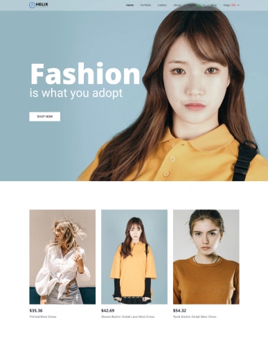 Fashion Fashion